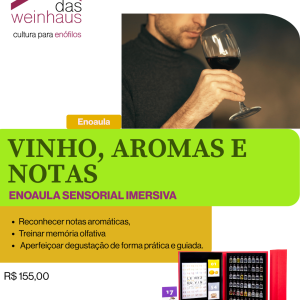 VINHO, SABORES E AROMAS | Aula sensorial imersiva