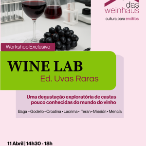 Wine Lab — para enófilos irreverentes!