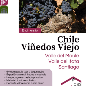 Enoimersão Chile Viñedos Viejos | Setembro 2026