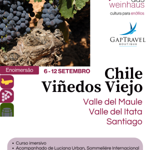 Enoimersão Chile Viñedos Viejos | ENTRADA | Reserva de vaga