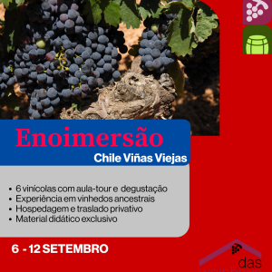 Enoimersão Chile Viñedos Viejos | Setembro 2026
