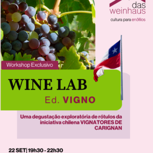 Wine Lab — para enófilos irreverentes!